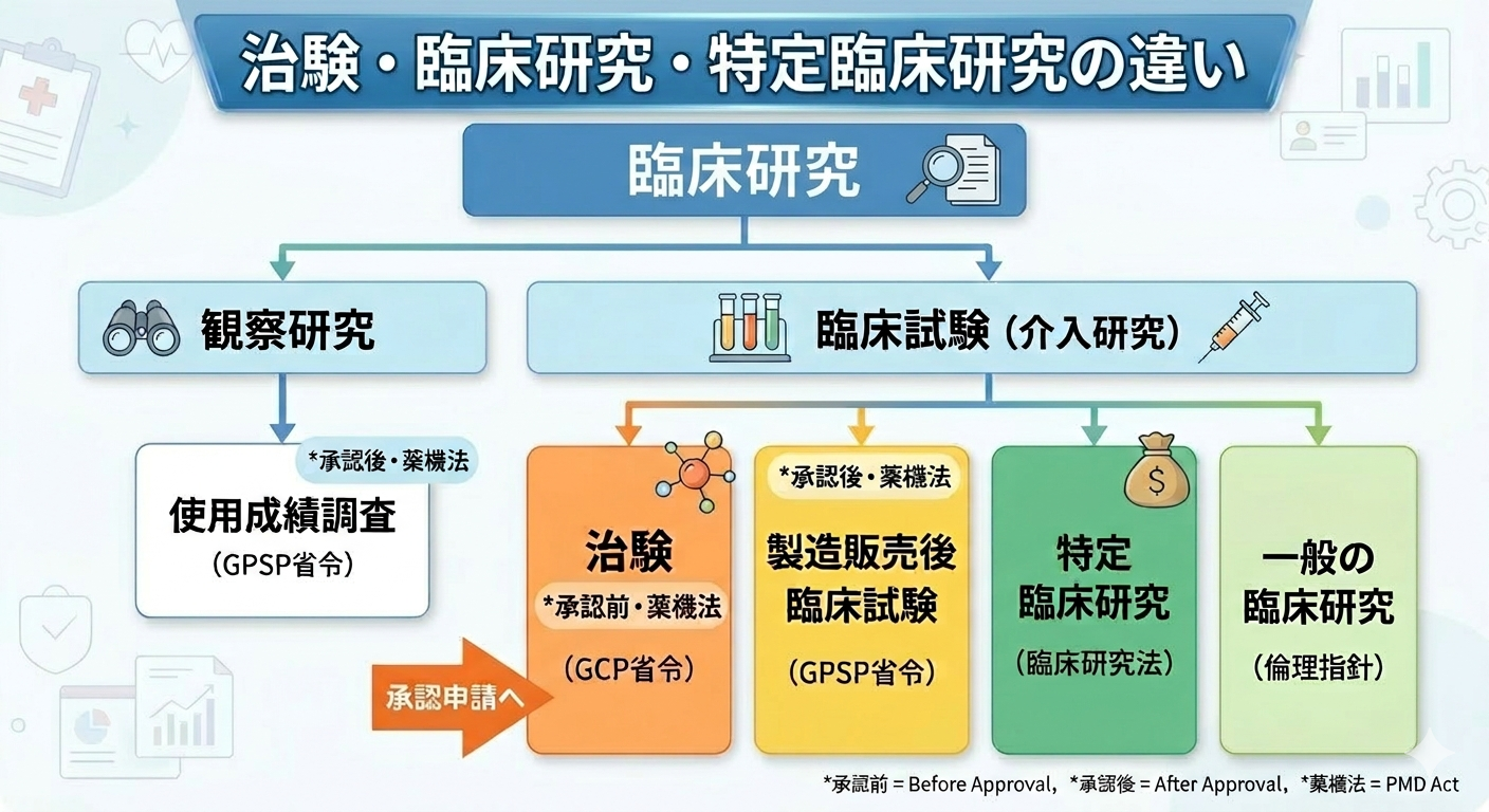 臨床試験、治験の位置づけ